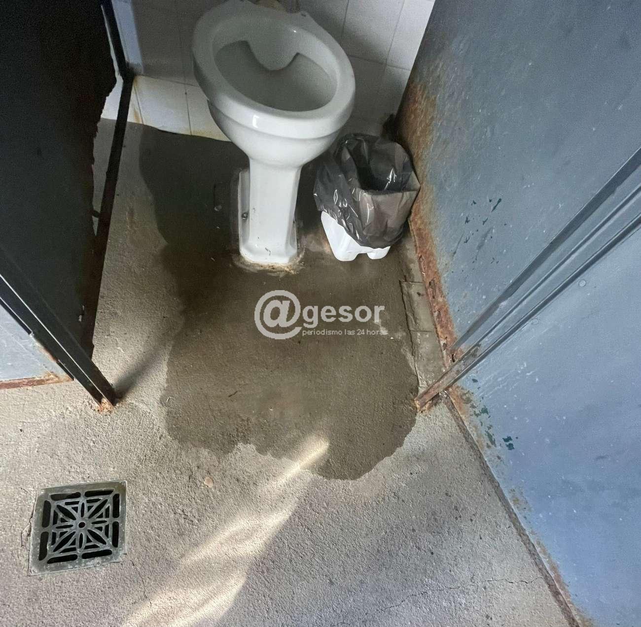 Image7